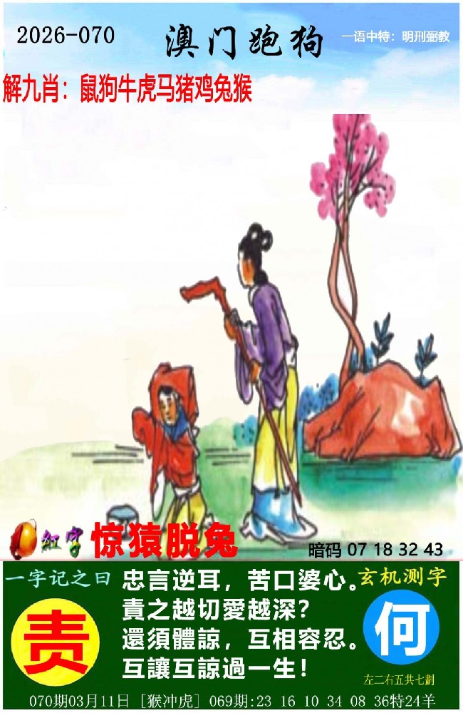 1773243564252367.jpg ampgt.jpg